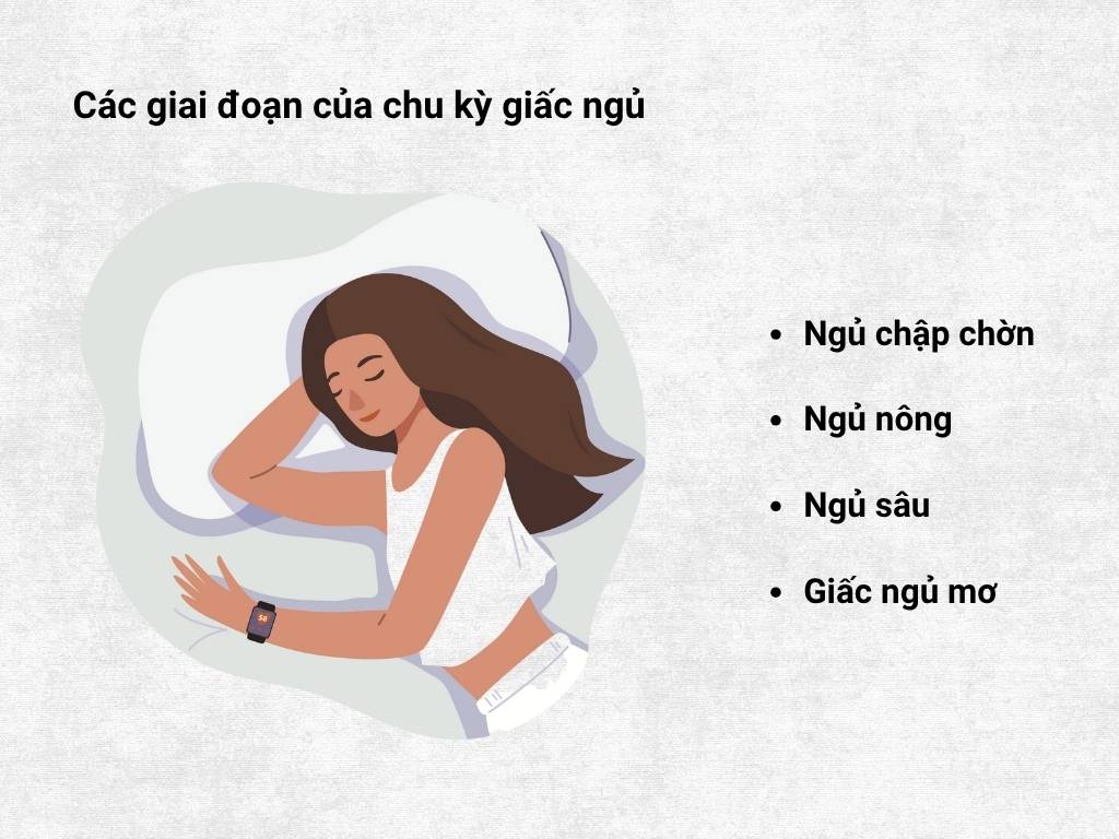 Web tính chu kỳ ngủ