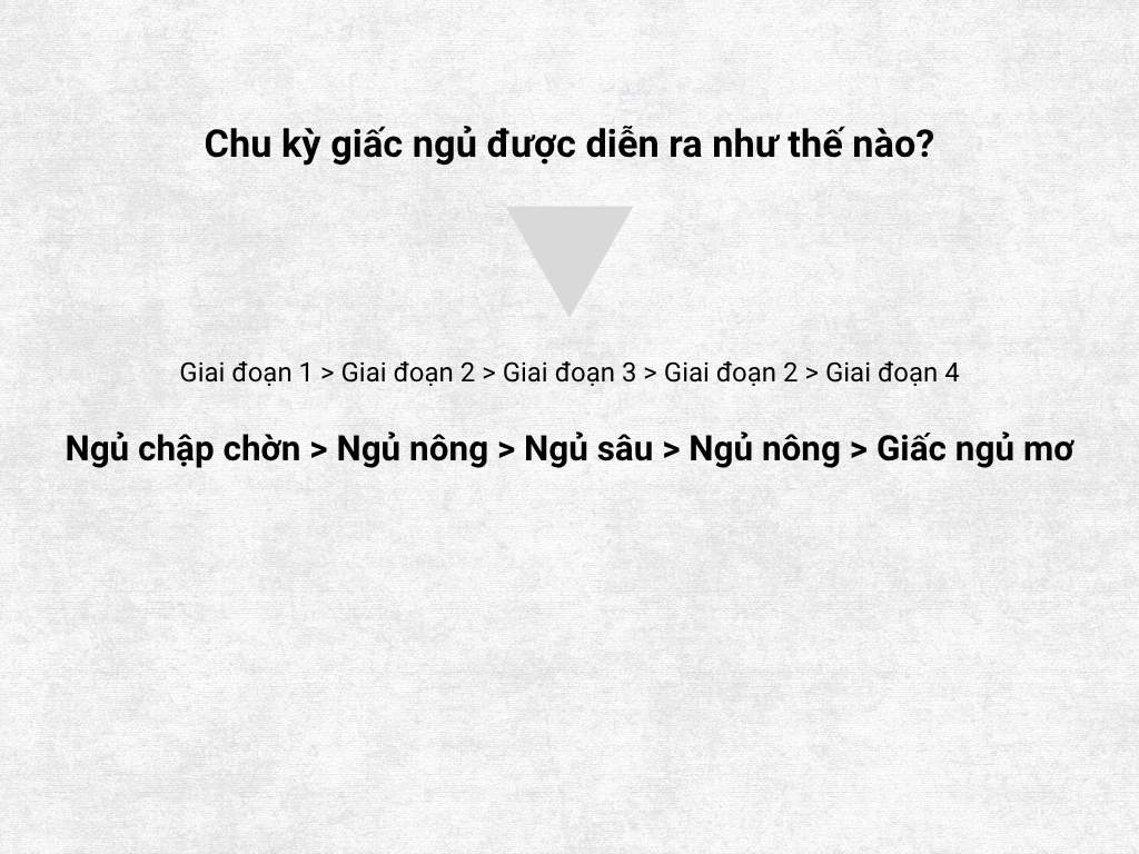 Web tính chy kỳ ngủ