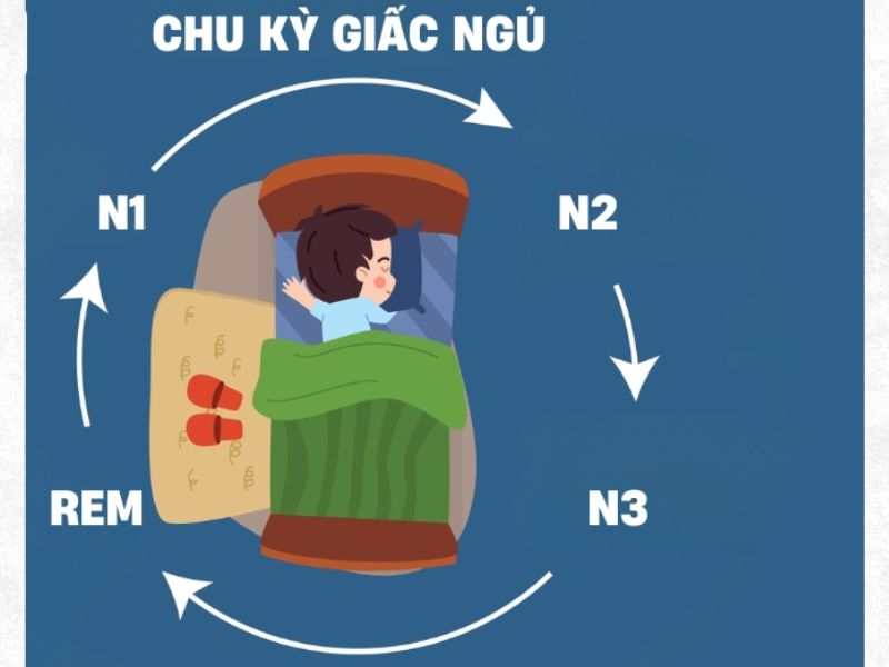 thức giấc nửa đêm chu kỳ giấc ngủ